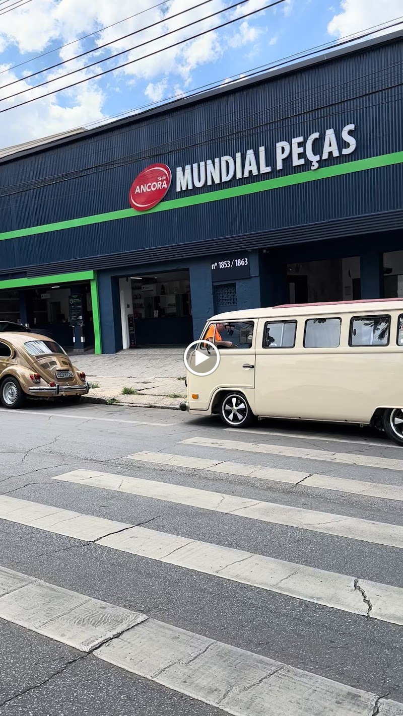 Rede ANCORA Mundial Peças MG