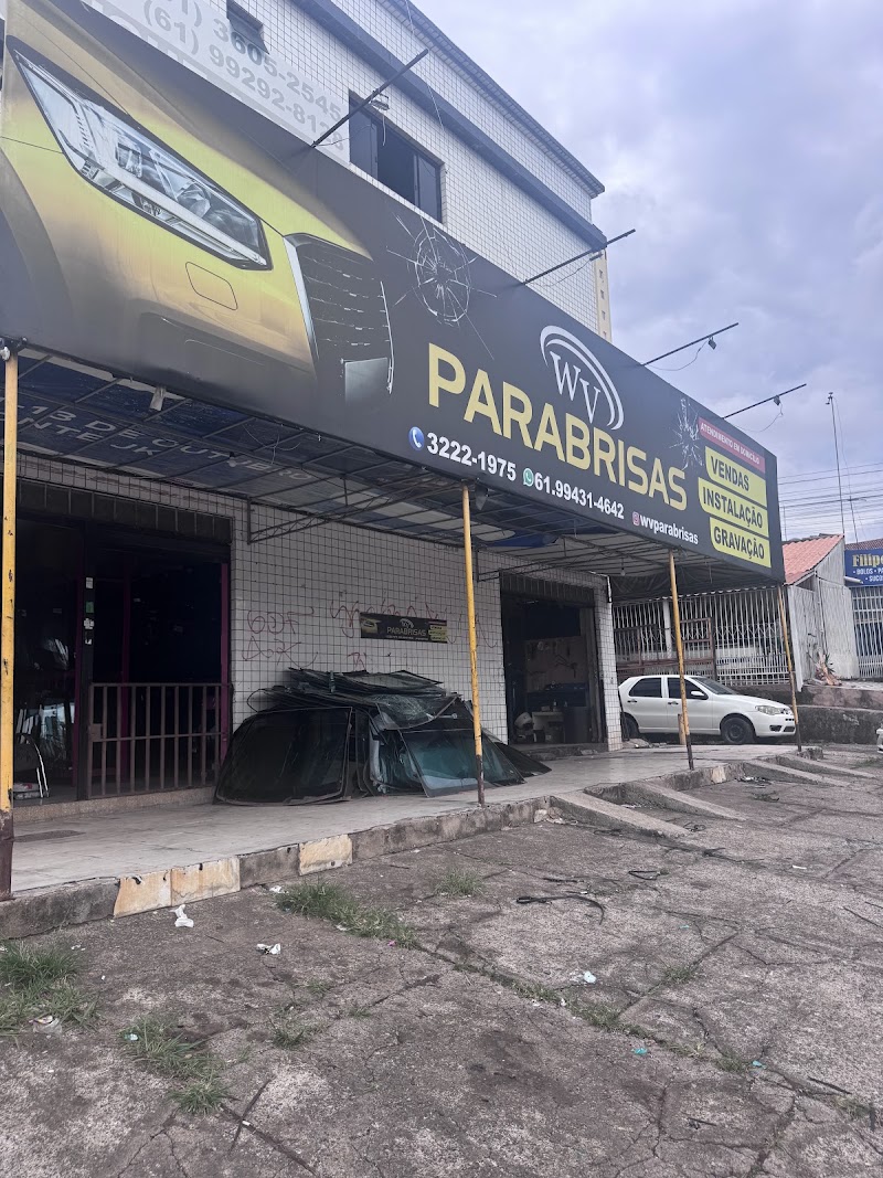 WV Parabrisas - Samambaia