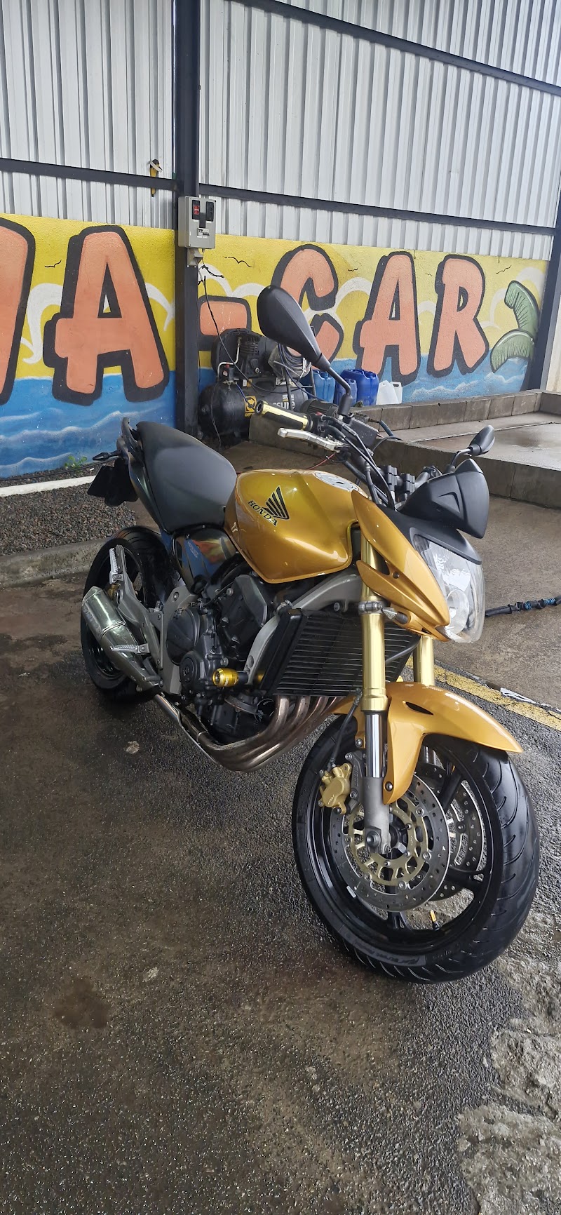 ROCHA LAVA CAR E ESTÉTICA AUTOMOTIVA