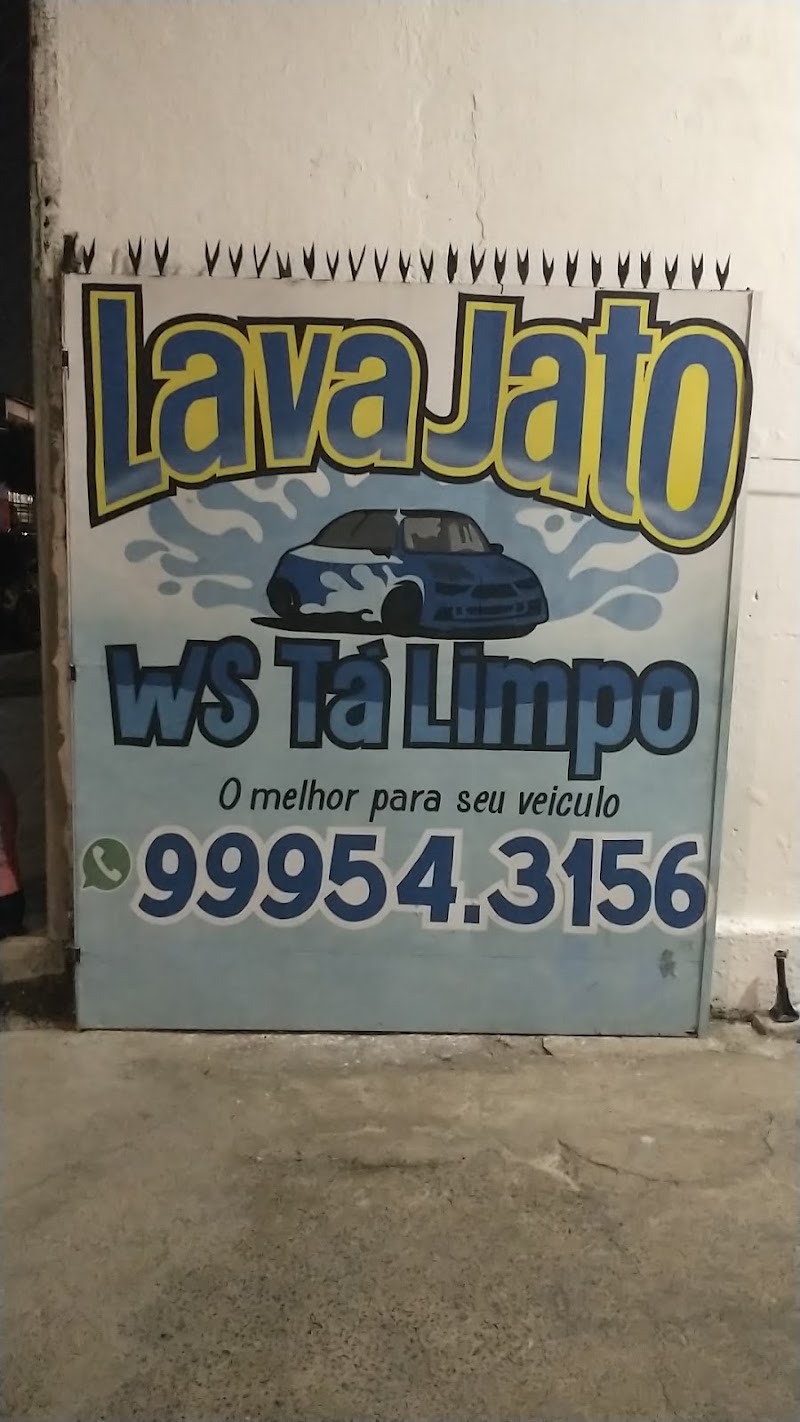 WS ESTÉTICA AUTOMOTIVA