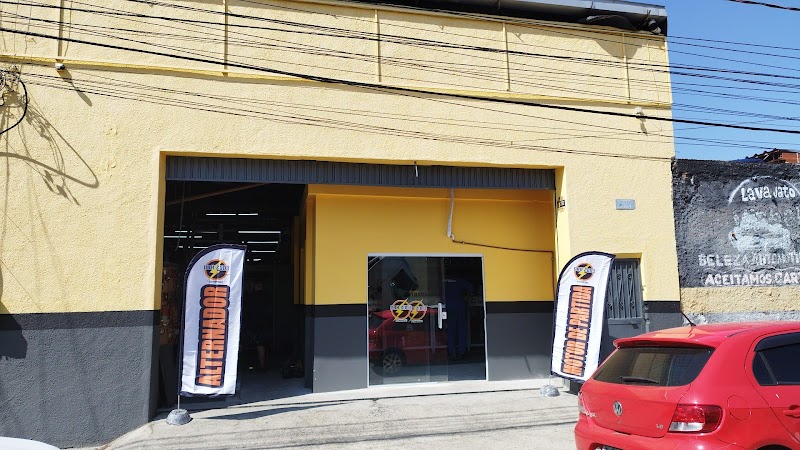 Auto Elétrica Irmãos Unidos Ltda