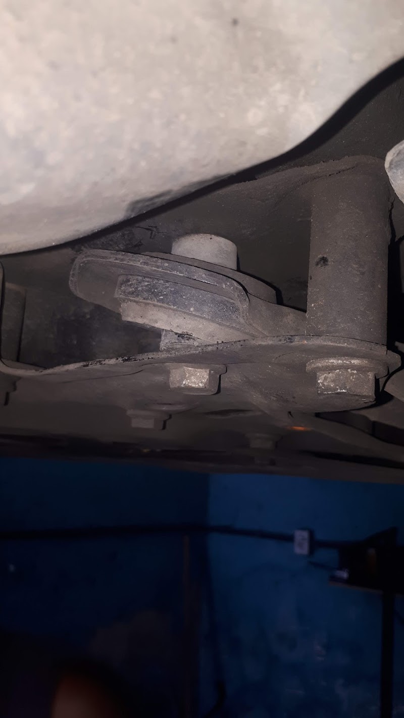 Alinhamento Do Niltinho