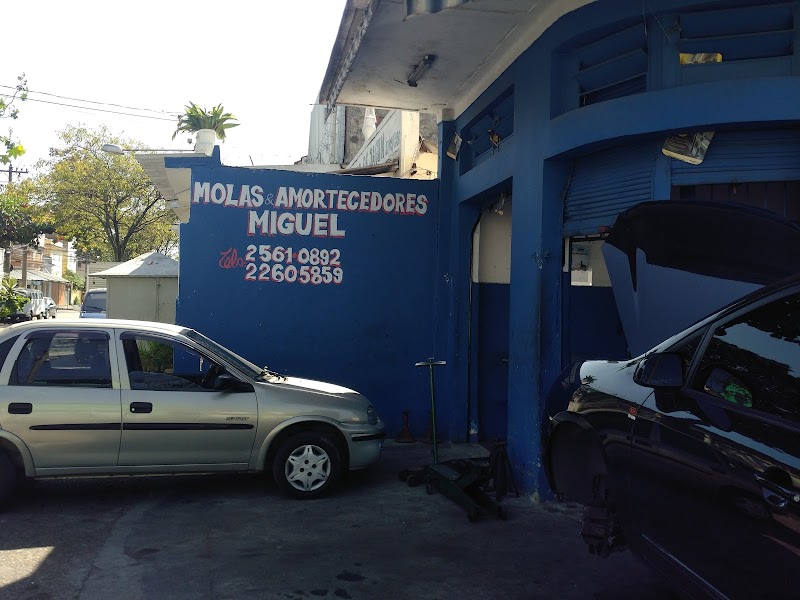 Molas e amortecedores Miguel